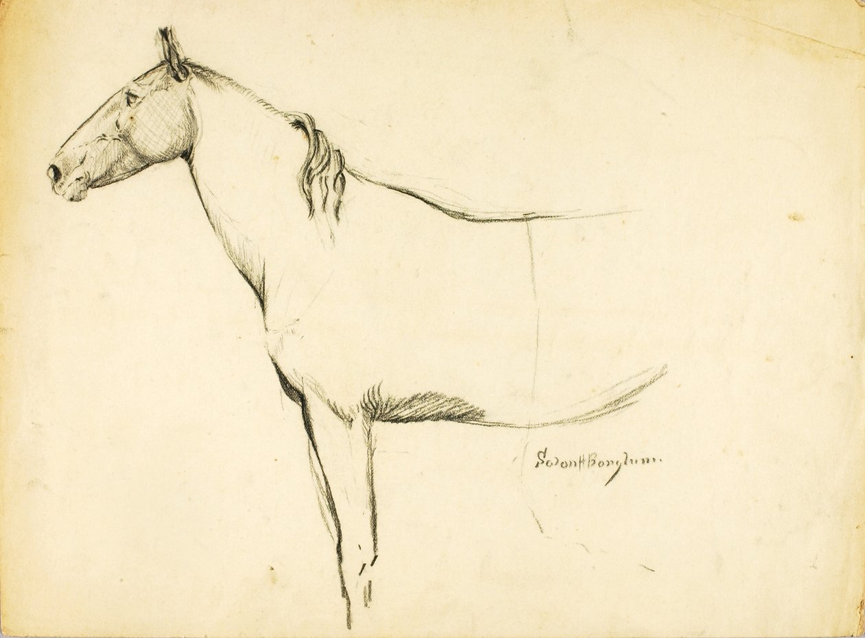 Pferd von Solon H. Borglum