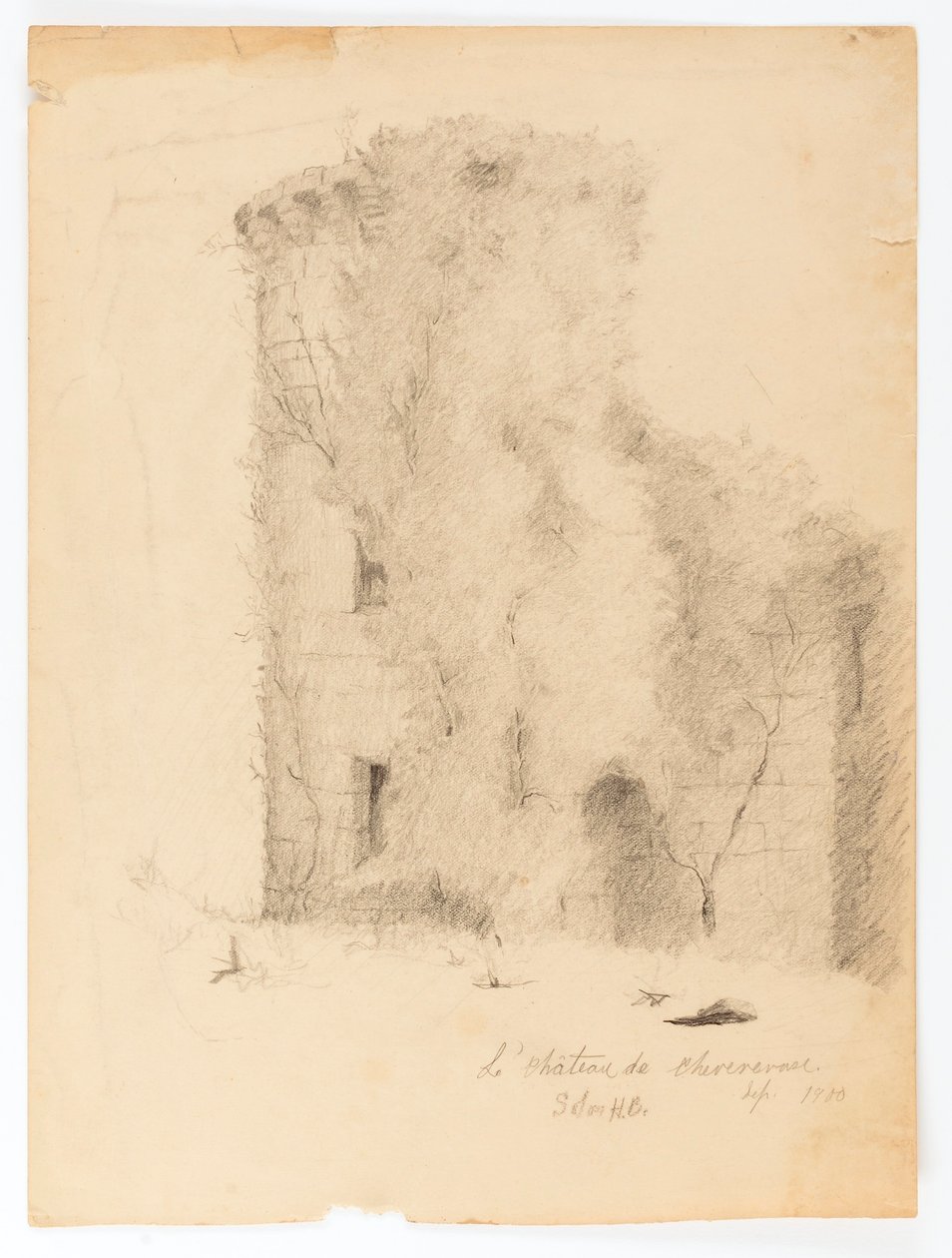 Das Schloss von Chevenevase von Solon H. Borglum