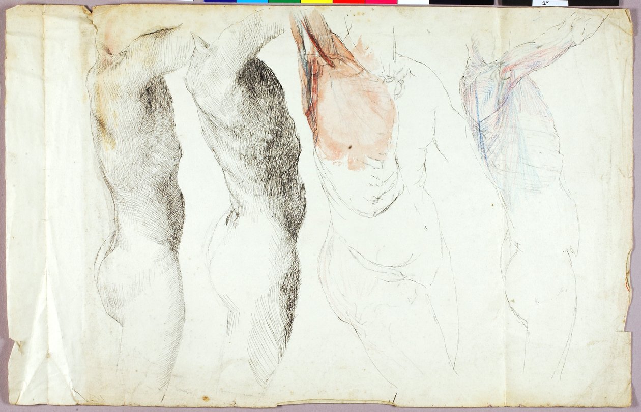 Aktstudien von Solon H. Borglum