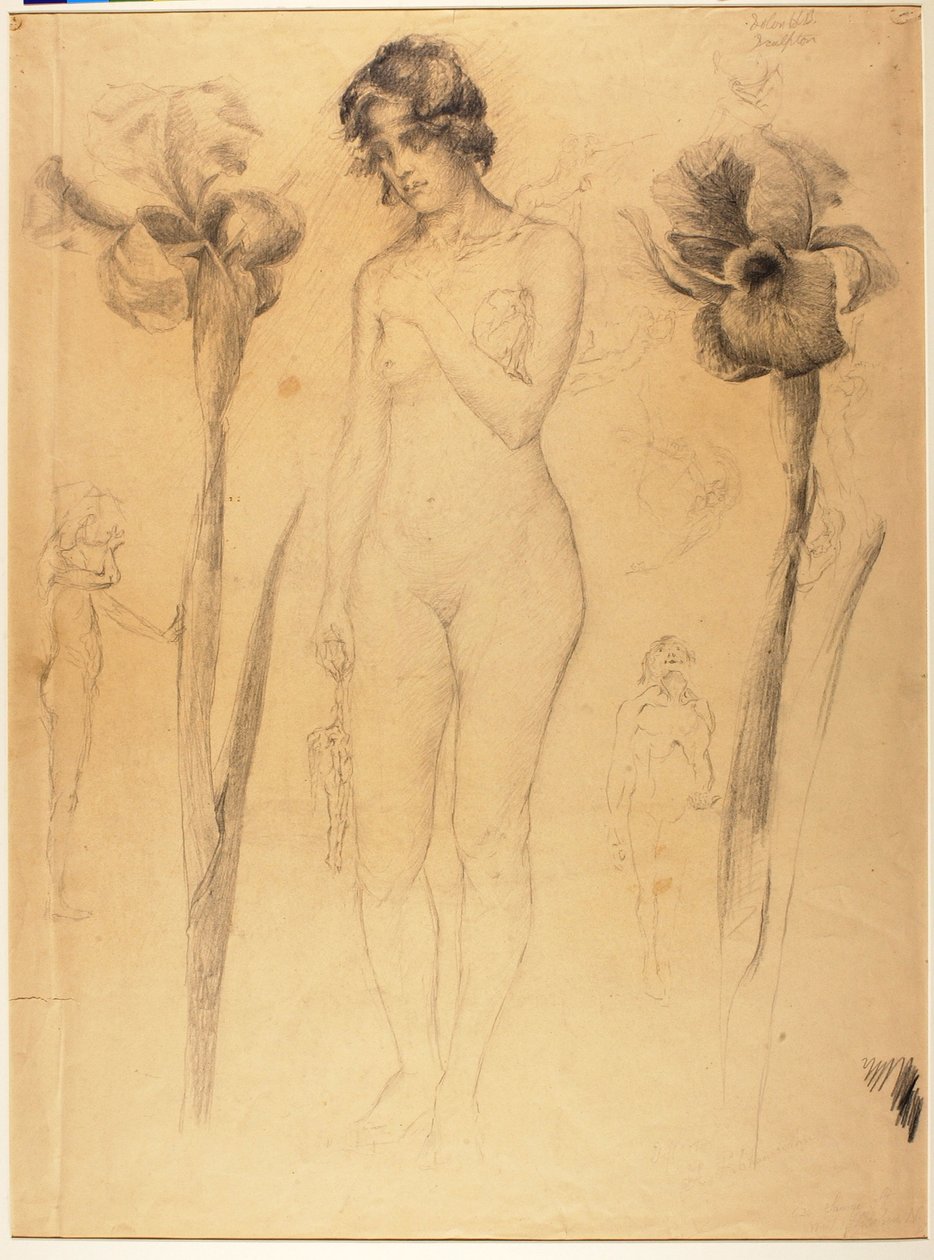 Akt und Iris von Solon H. Borglum