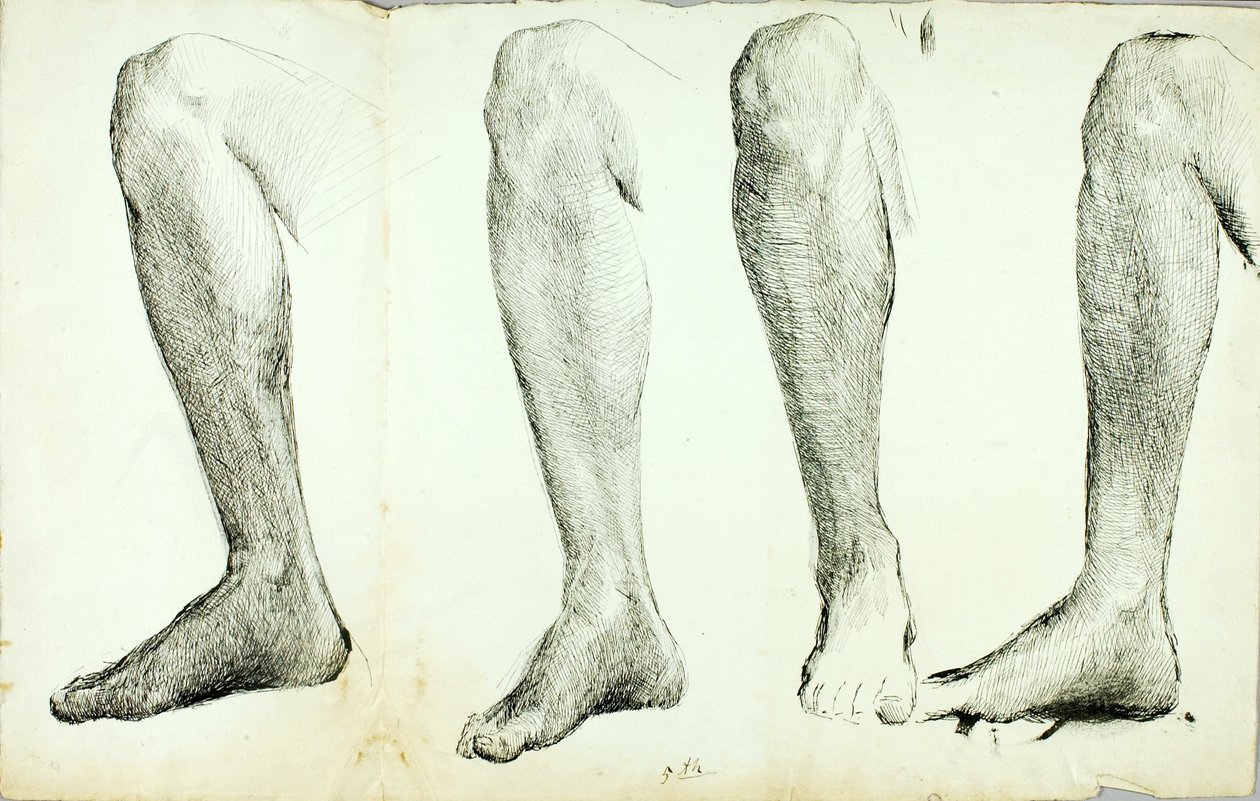 Studie der Anatomie, Nr. 5 von Solon H. Borglum