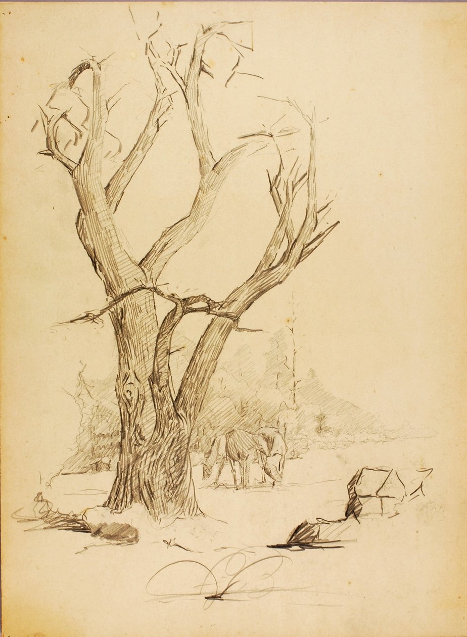 Ohne Titel von Solon H. Borglum