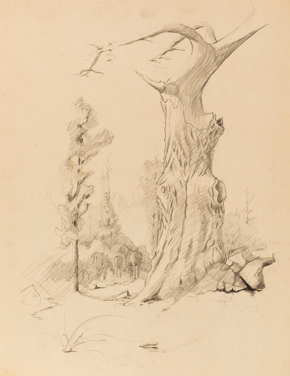 Ohne Titel von Solon H. Borglum