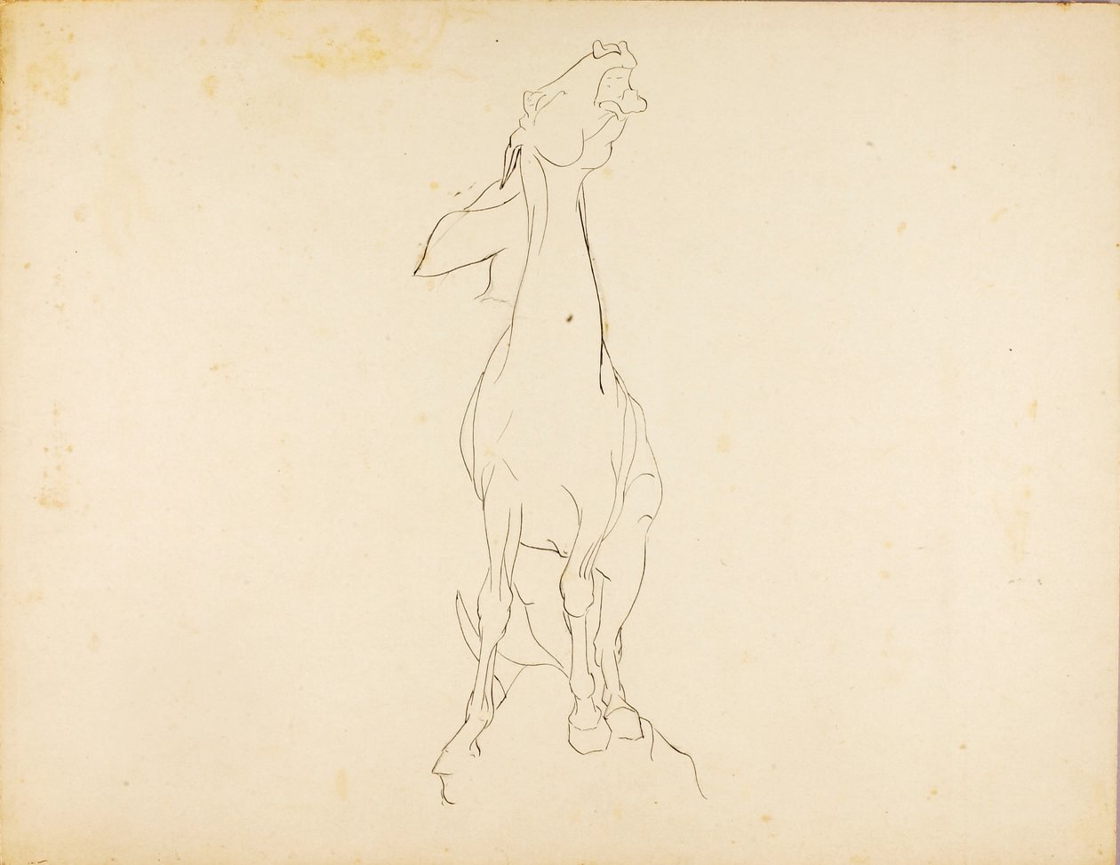 Ohne Titel von Solon H. Borglum