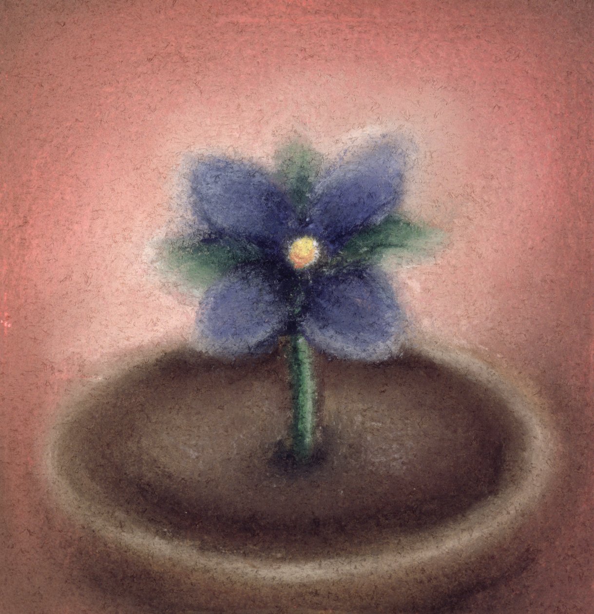 Kleine Blume von Sophie Hacker