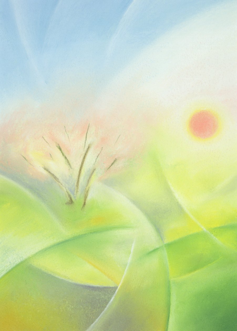 Frühling von Sophie Hacker
