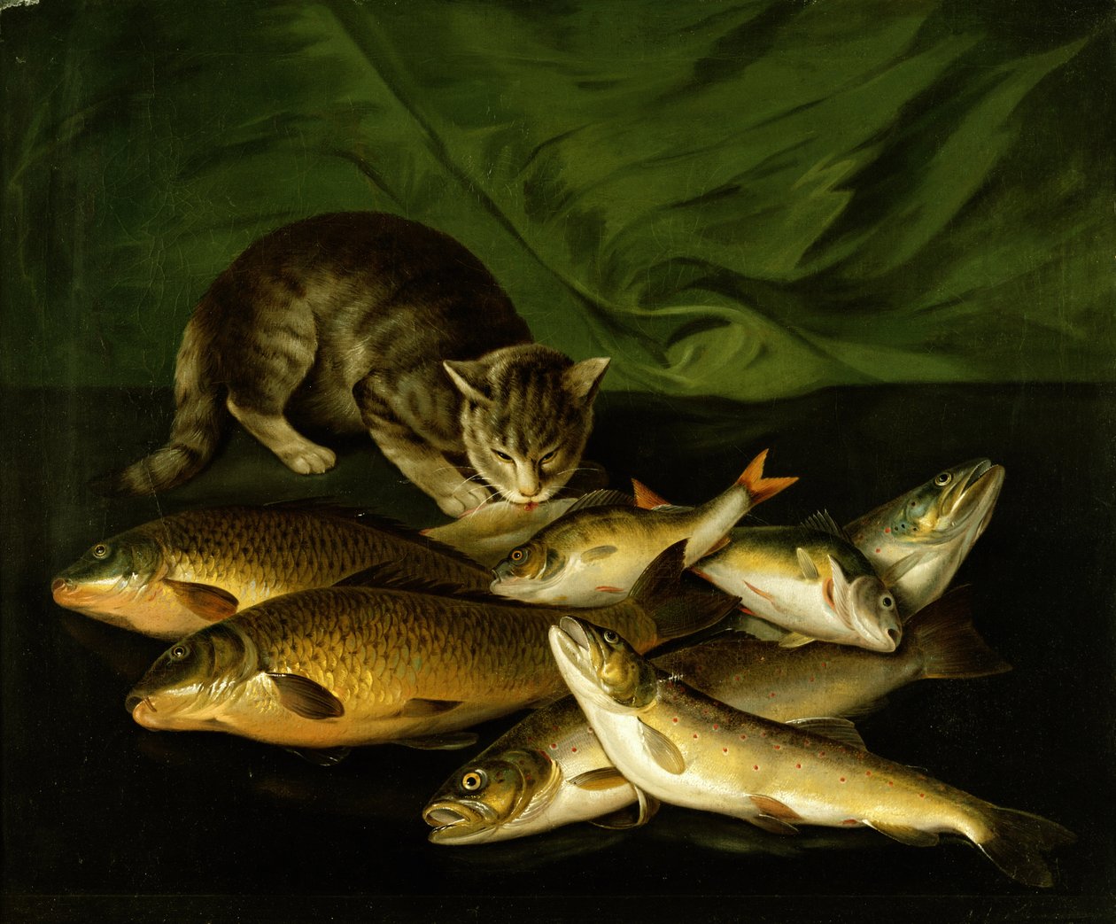 Eine Katze mit Forelle, Barsch und Karpfen auf einem Sims von Stephen Elmer