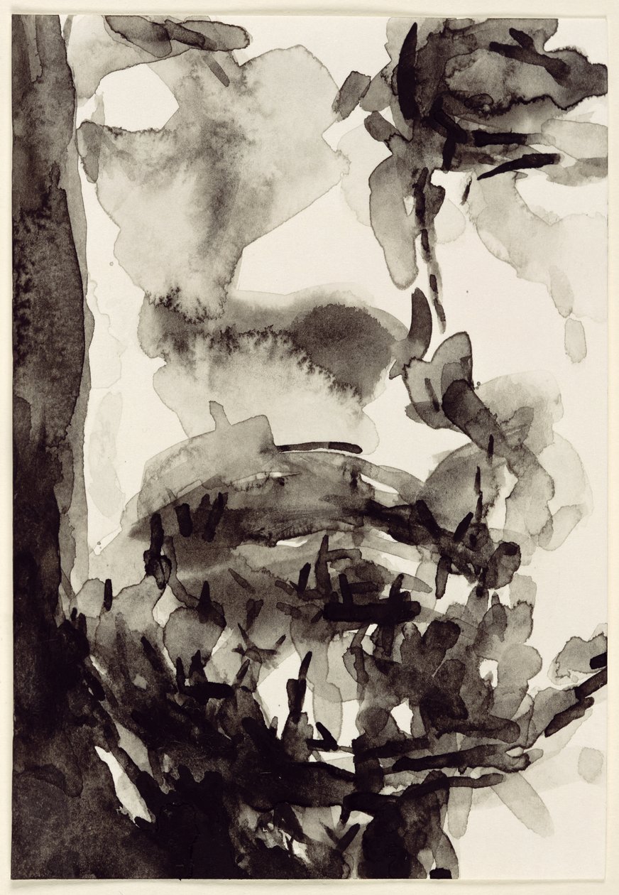 Gesicht von Stephen Finer