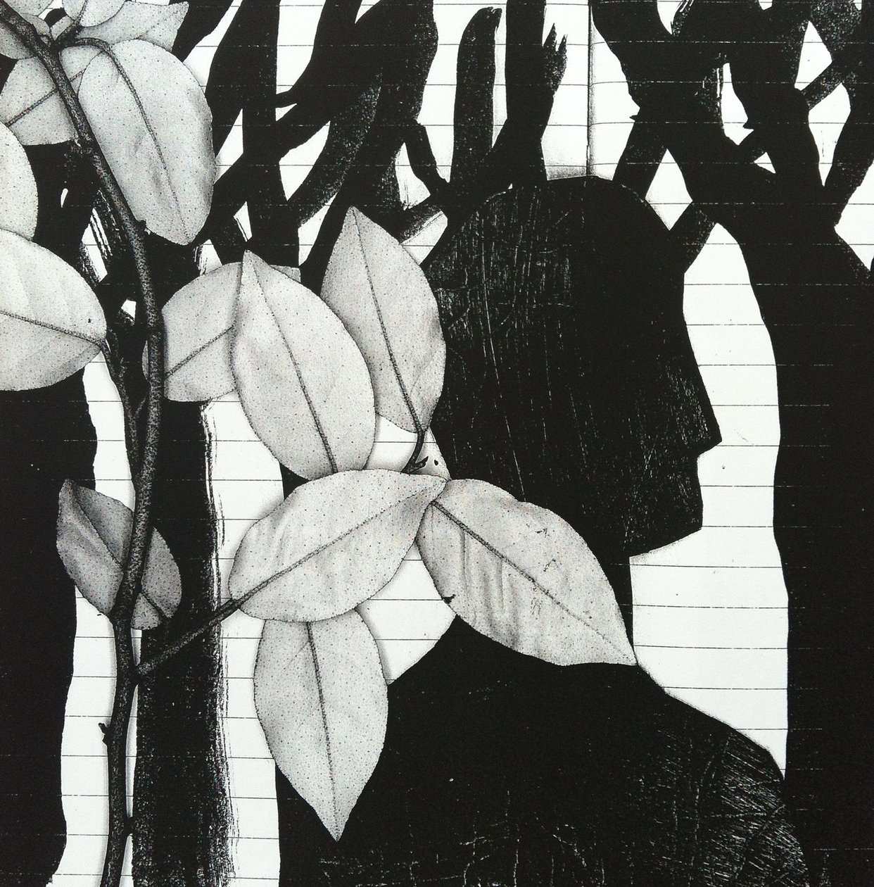 Der Wald, 2014 von Stephen Dow