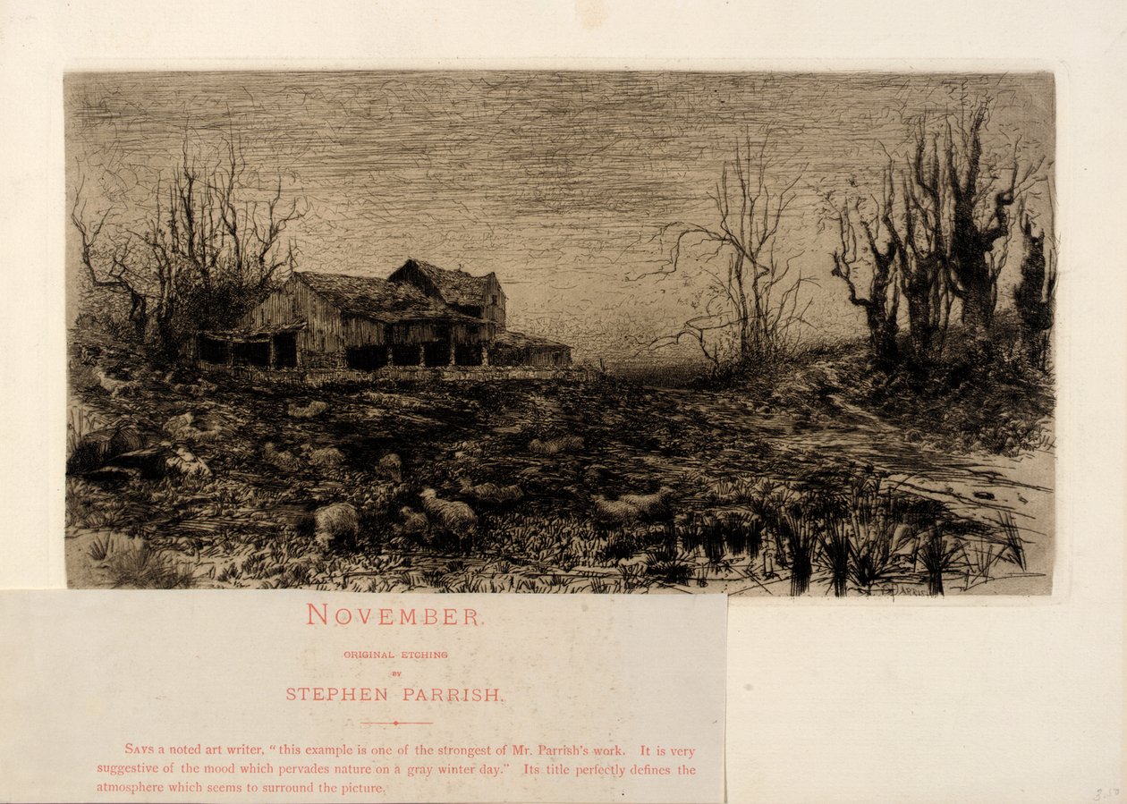 November von Stephen Parrish
