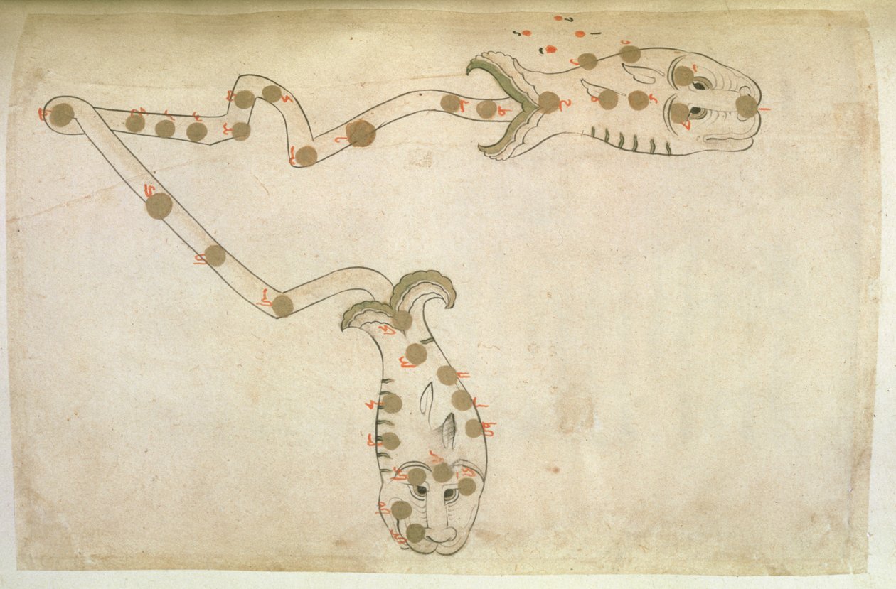 Darstellungen des Tierkreises: Fische, 1497-1498 (903 Hijra) von Suvar Al Kavakib