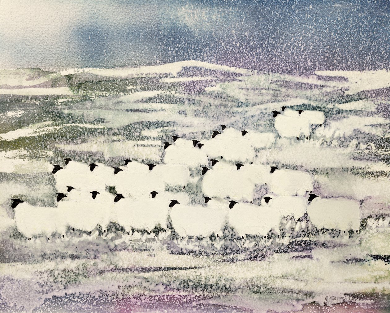 Schafe im Winter von Suzi Kennett