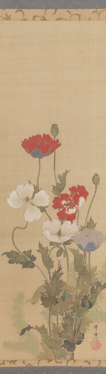 Mohnblumen, Mitte des 19. Jahrhunderts von Suzuki Kiitsu