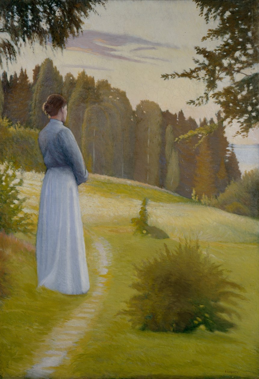 Nach Sonnenuntergang von Sven Jorgensen