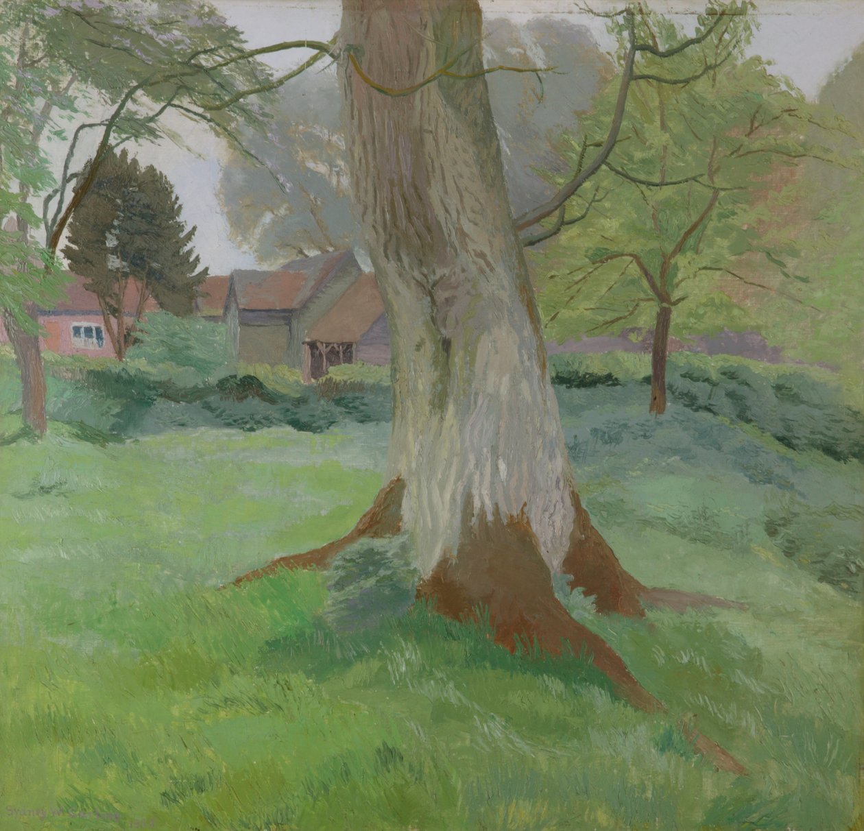 Der Walnussbaum von Sydney Carline