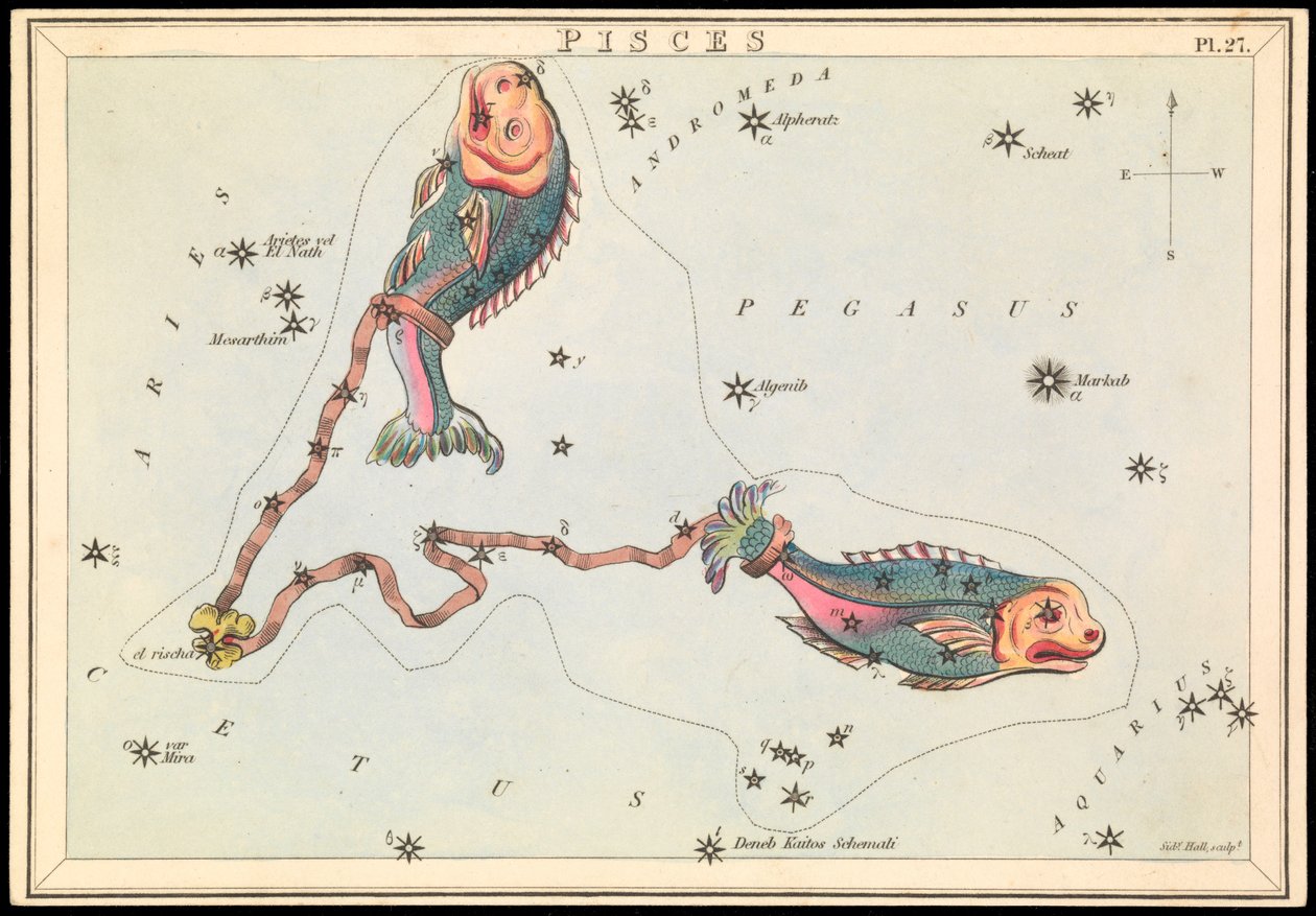 Fische, ca. 1825 von Sydney Hall