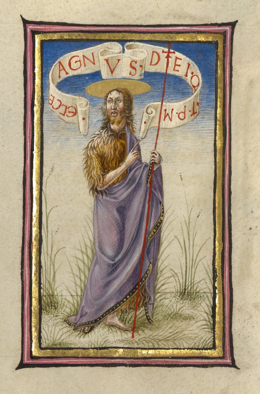 Heiliger Johannes der Täufer von Taddeo Crivelli