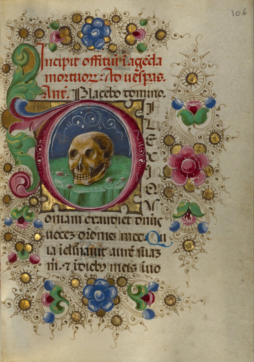 Ein Schädel in einem felsigen Feld von Taddeo Crivelli