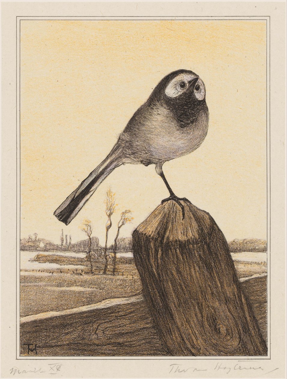 Bachstelze auf einem Pfahl von Theo van Hoytema (signed by artist)