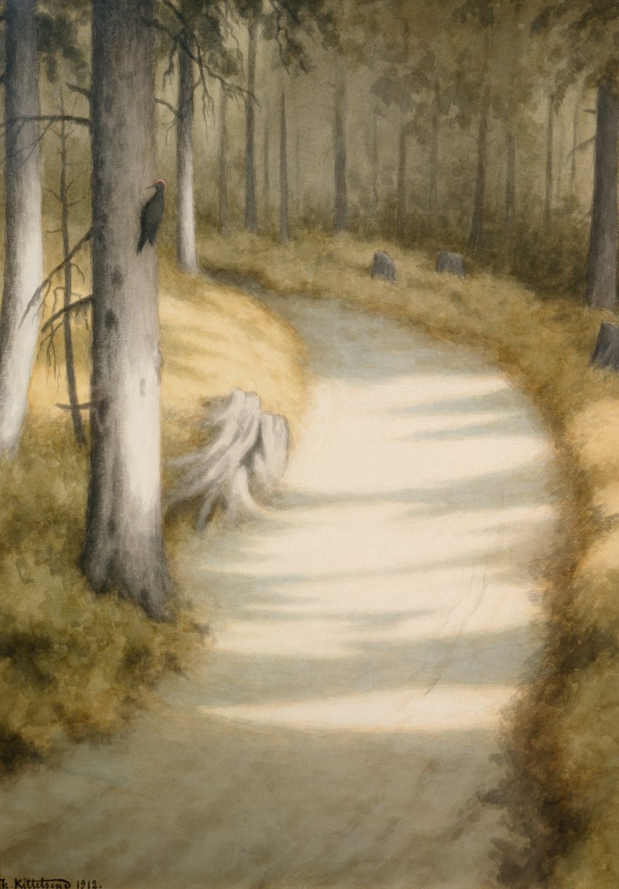 Specht von Theodor Kittelsen