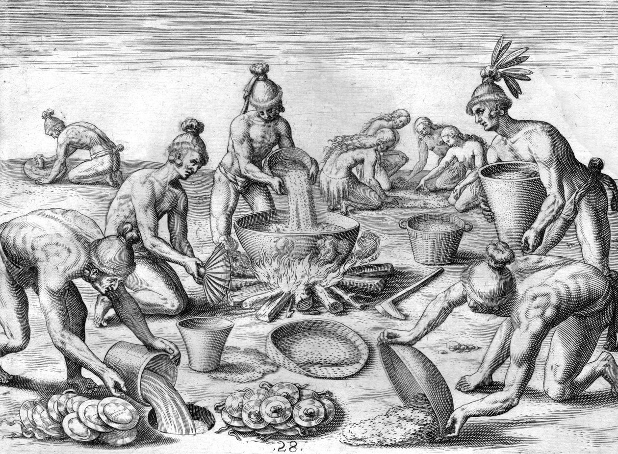 Timucua-Indianer bereiten ein Festmahl vor von Theodor de Bry