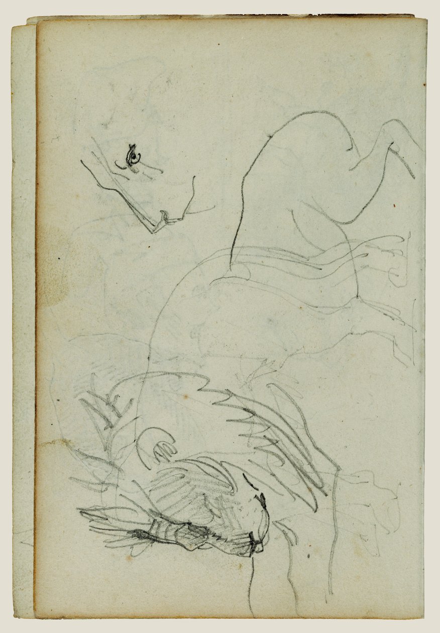 Löwenstudien von Theodore Gericault
