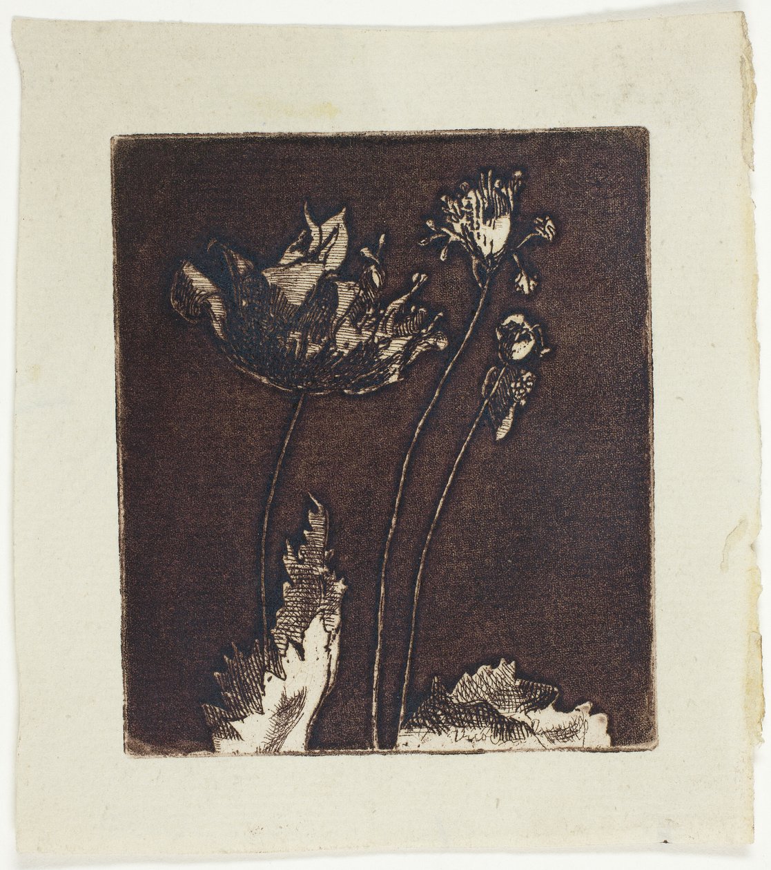 Letzte Mohnblumen von Theodore Roussel