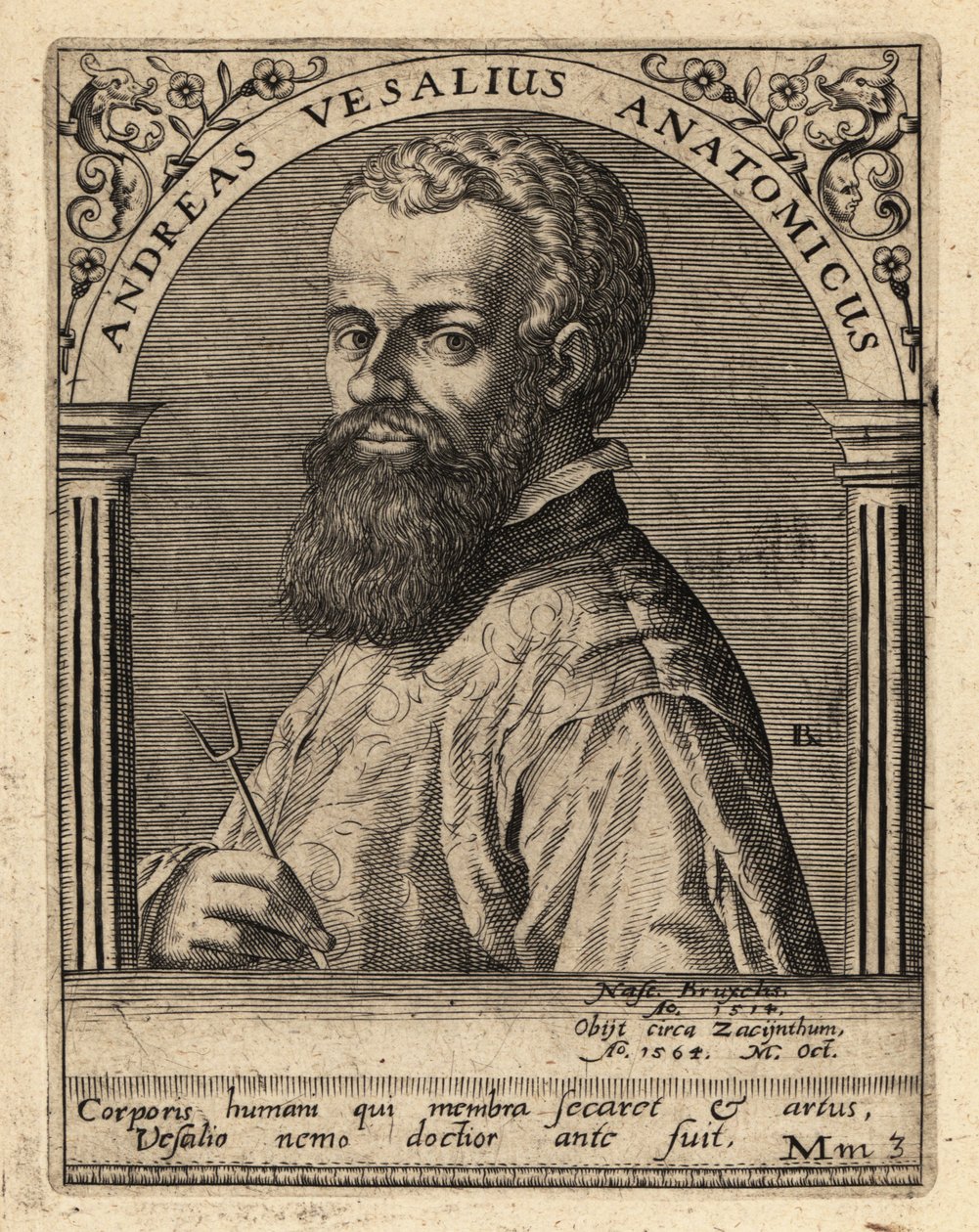 Andreas Vesalius, flämischer Arzt und Anatom von Theodore de Bry