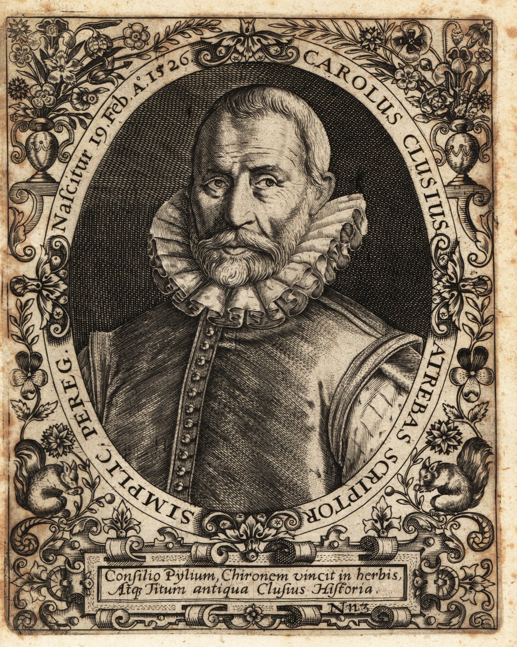 Charles de l’Ecluse, Arzt, Botaniker von Theodore de Bry