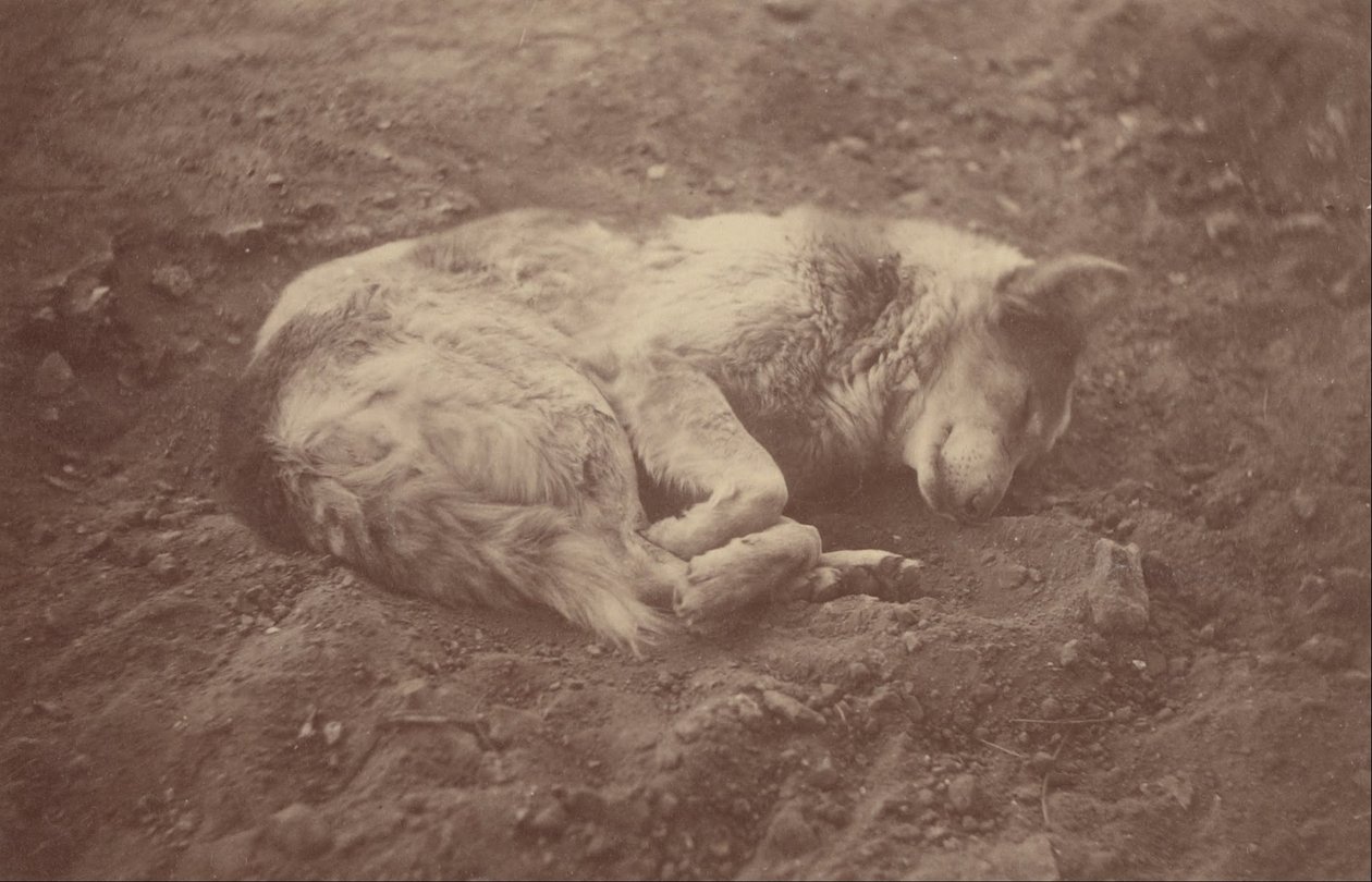 (Schlafender Hund) von Théodule Devéria