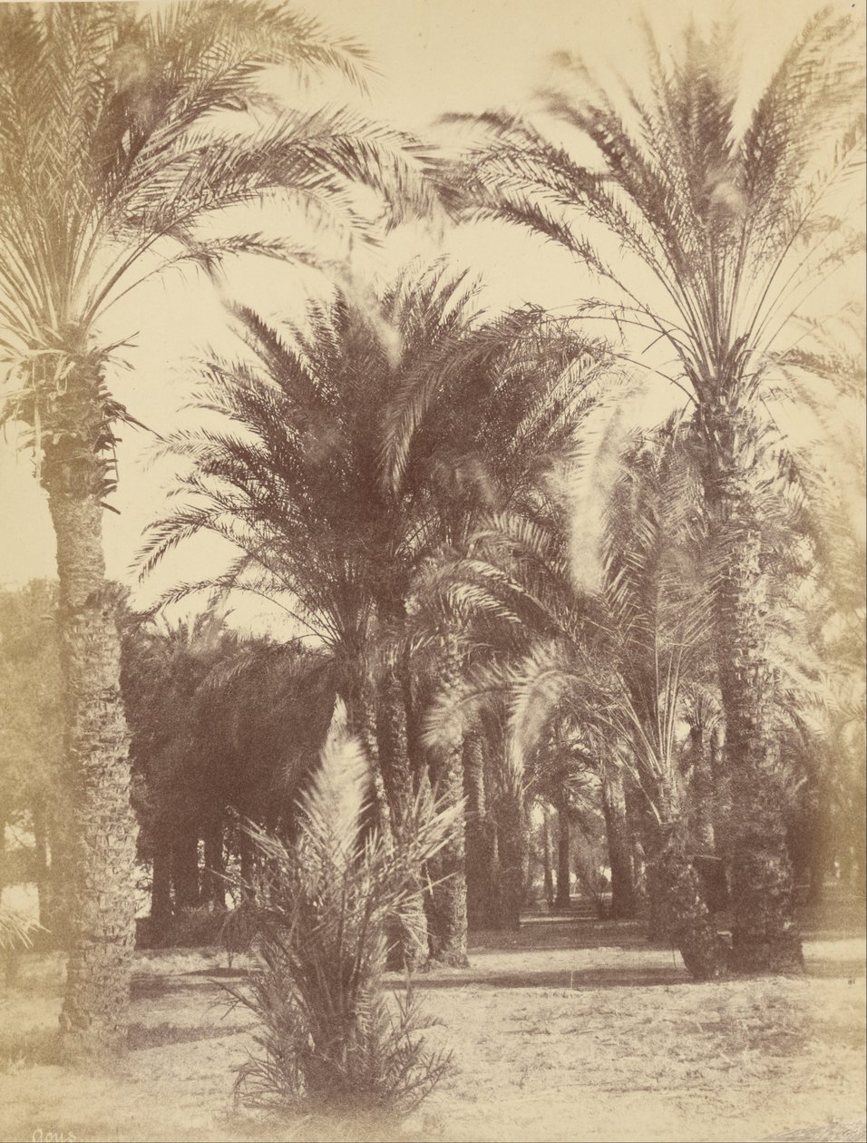 Gous von Théodule Devéria