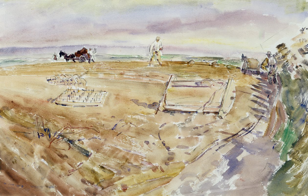 Hochlandfeld mit Eggen von Thomas Barclay Hennell
