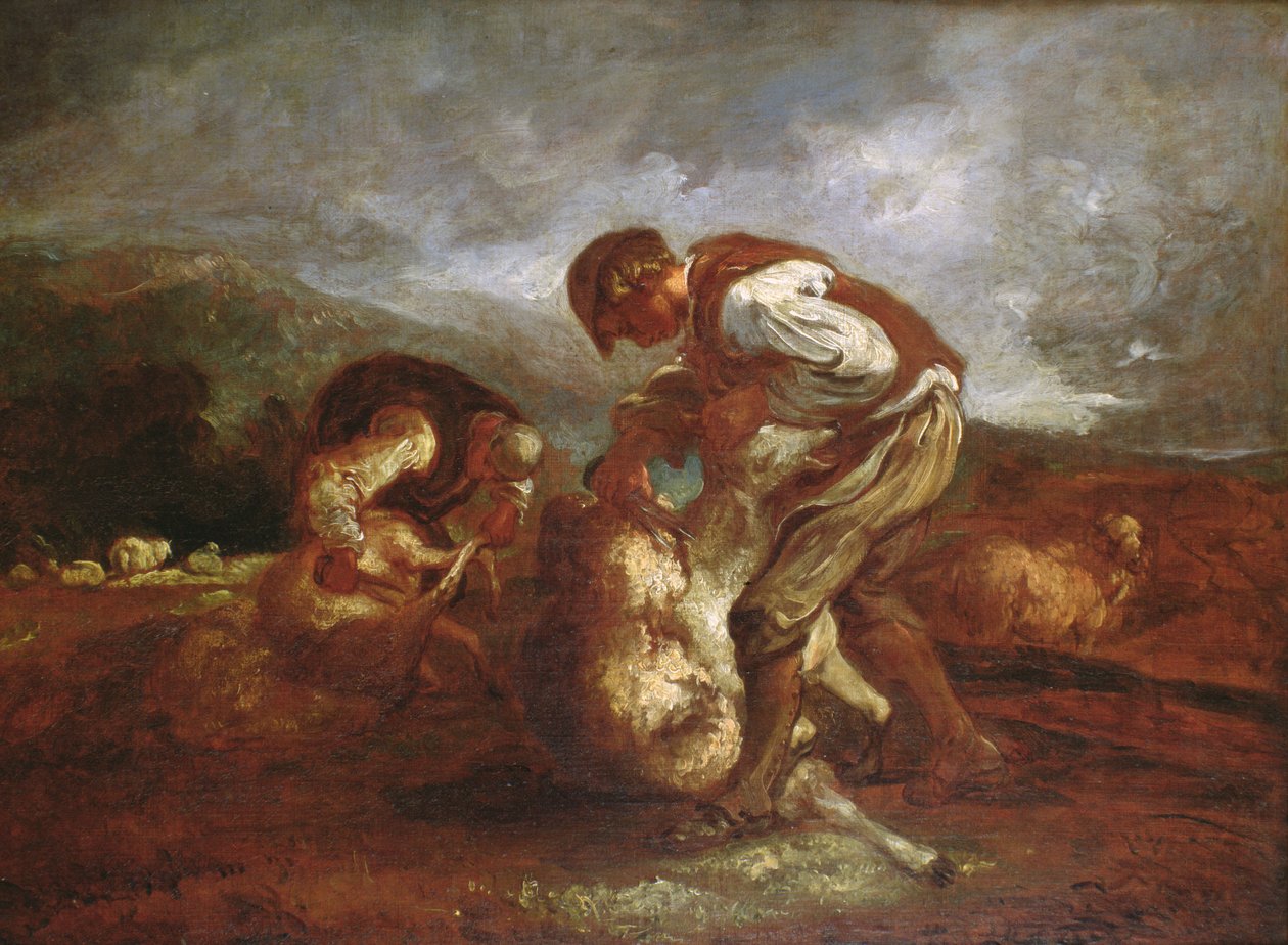 Schafschur von Thomas Barker of Bath