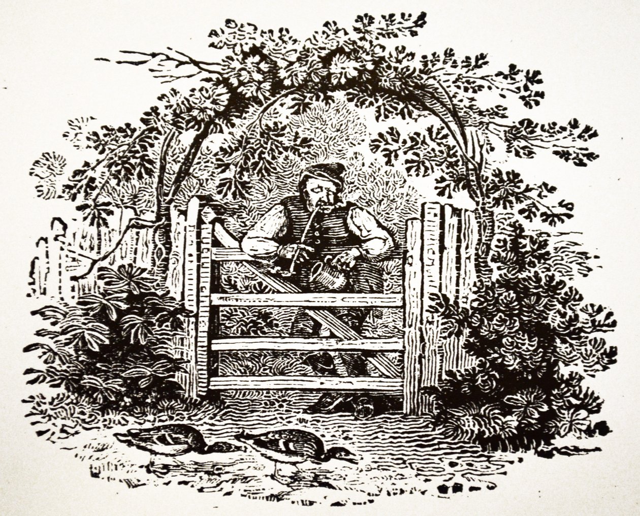 Landmann raucht eine Kirchenpfeife, 1804 von Thomas Bewick