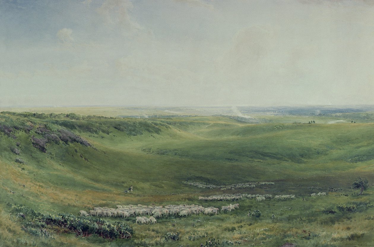 Weite Weiden, Sussex von Thomas Collier