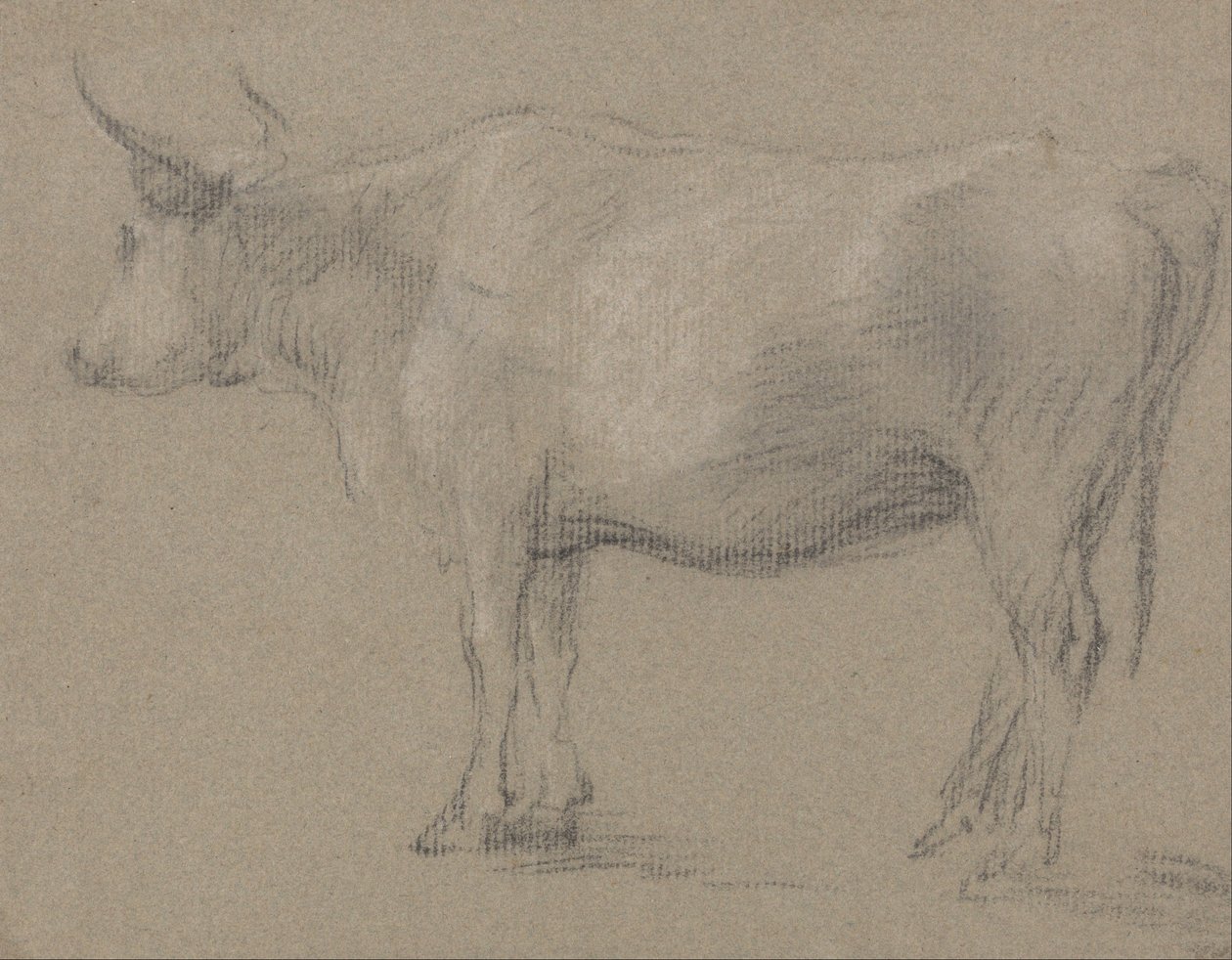 Studie einer Kuh von Thomas Gainsborough