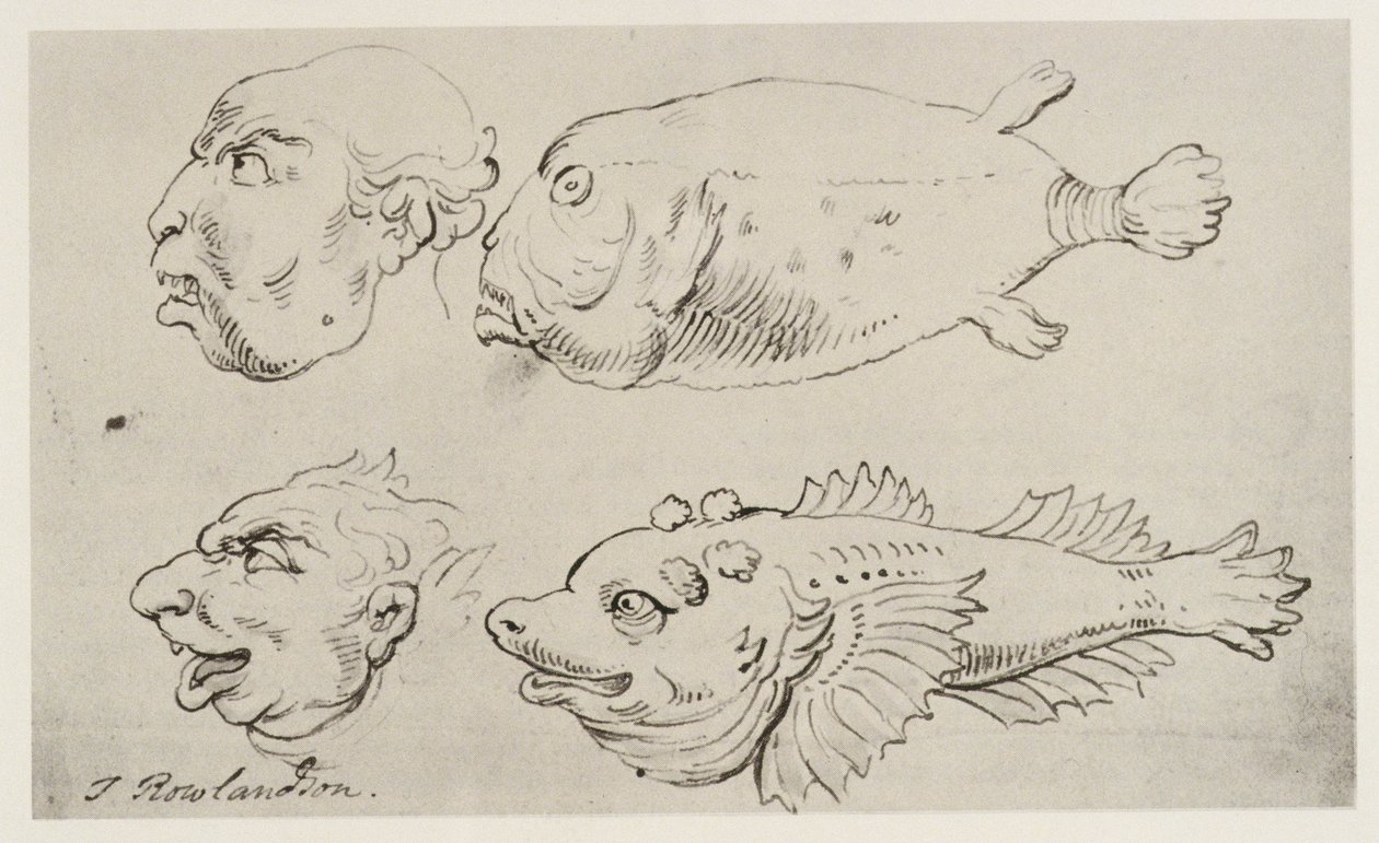 Anthropomorphe Köpfe von Männern und Fischen von Thomas Rowlandson
