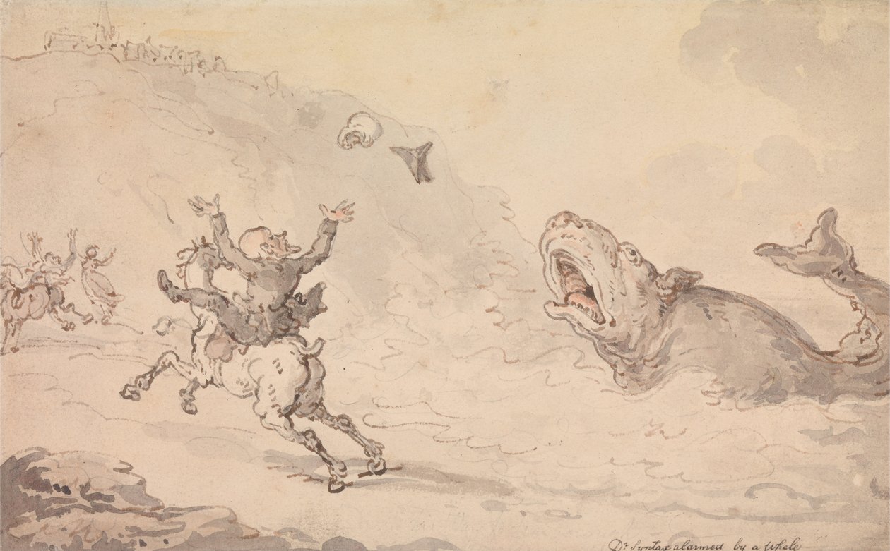 Dr. Syntax erschreckt durch einen Wal von Thomas Rowlandson