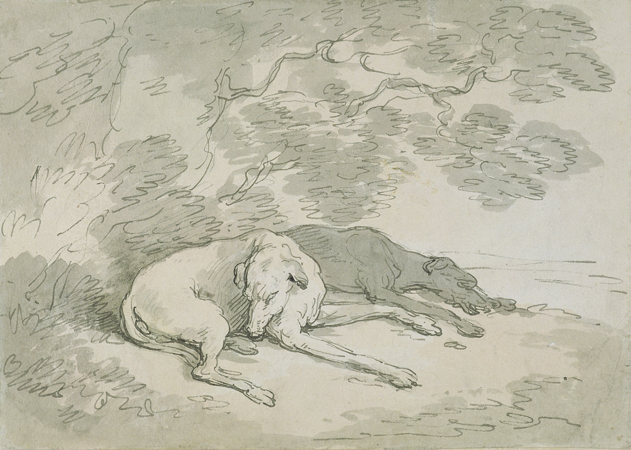 Schlafende Windhunde von Thomas Rowlandson