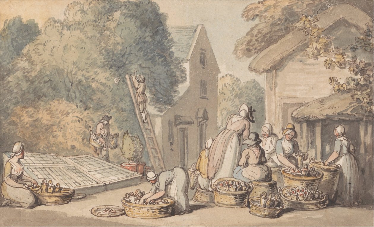 Maulbeeren pflücken von Thomas Rowlandson