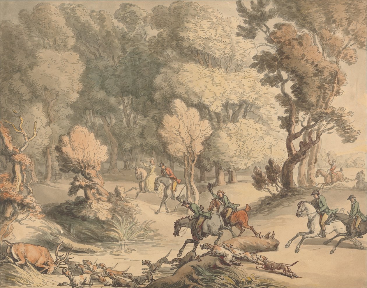 Hirsch in der Enge von Thomas Rowlandson