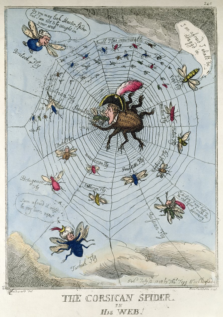 Die korsische Spinne in ihrem Netz von Thomas Rowlandson