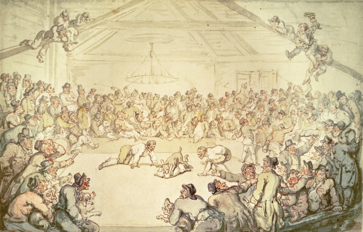 Der Hundekampf von Thomas Rowlandson