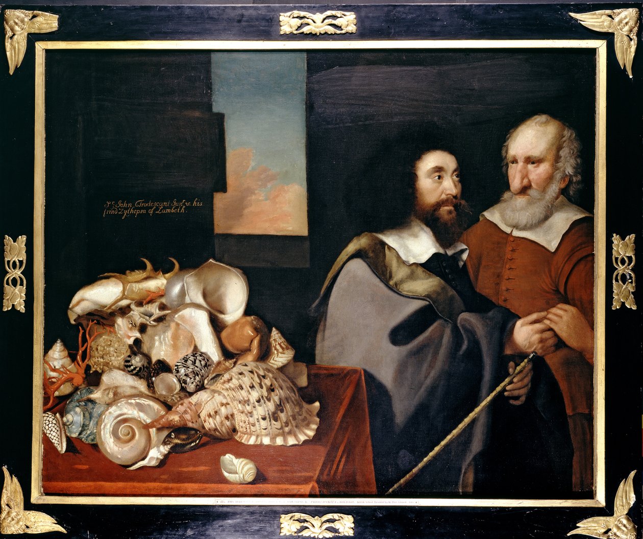 John Tradescant der Jüngere mit Roger Friend und einer Sammlung exotischer Muscheln, 1645 von Thomas de Critz