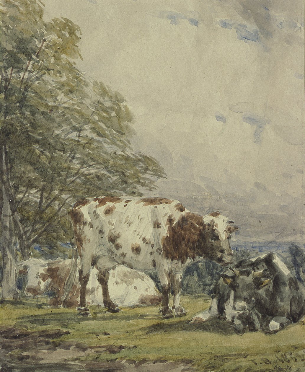 Studie von Rindern, 19. Jahrhundert von Thomas Baker