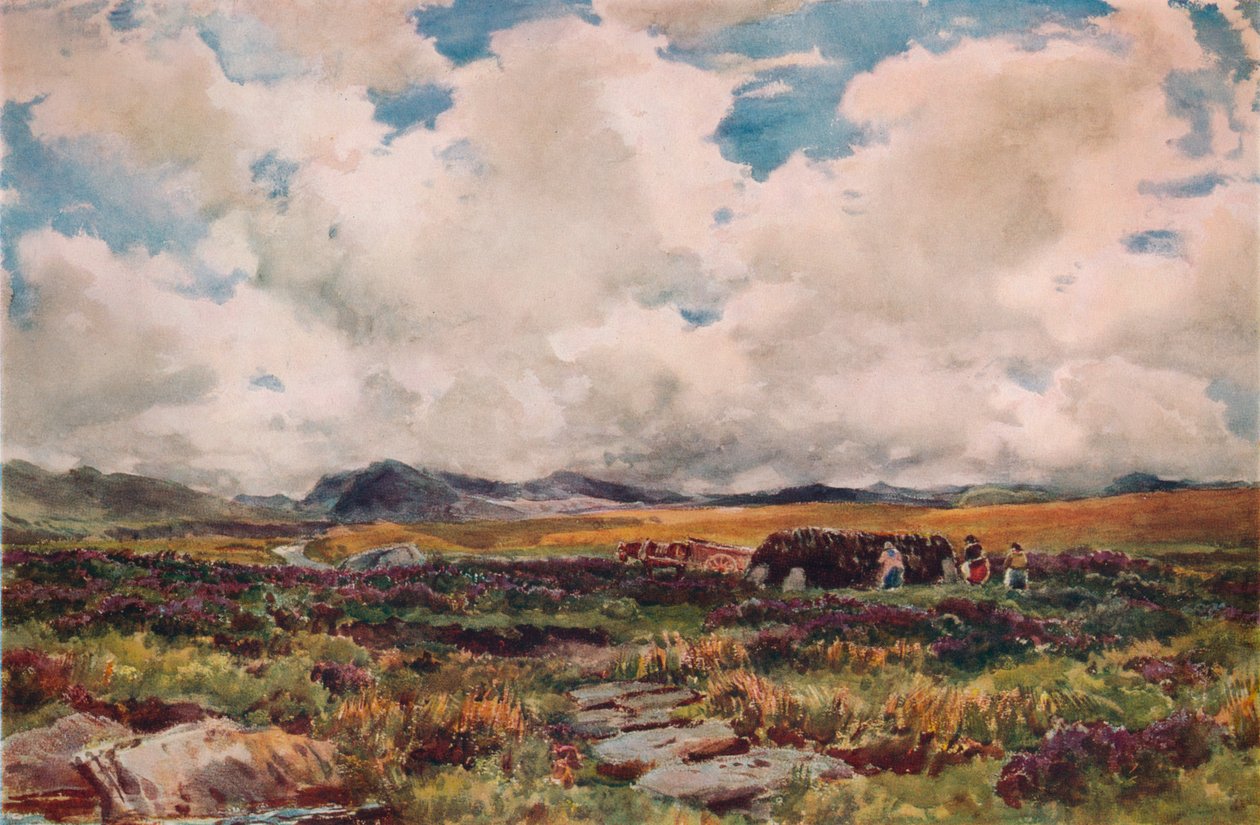 Torf stapeln, Festiniog, Nordwales, 1881 von Thomas Collier