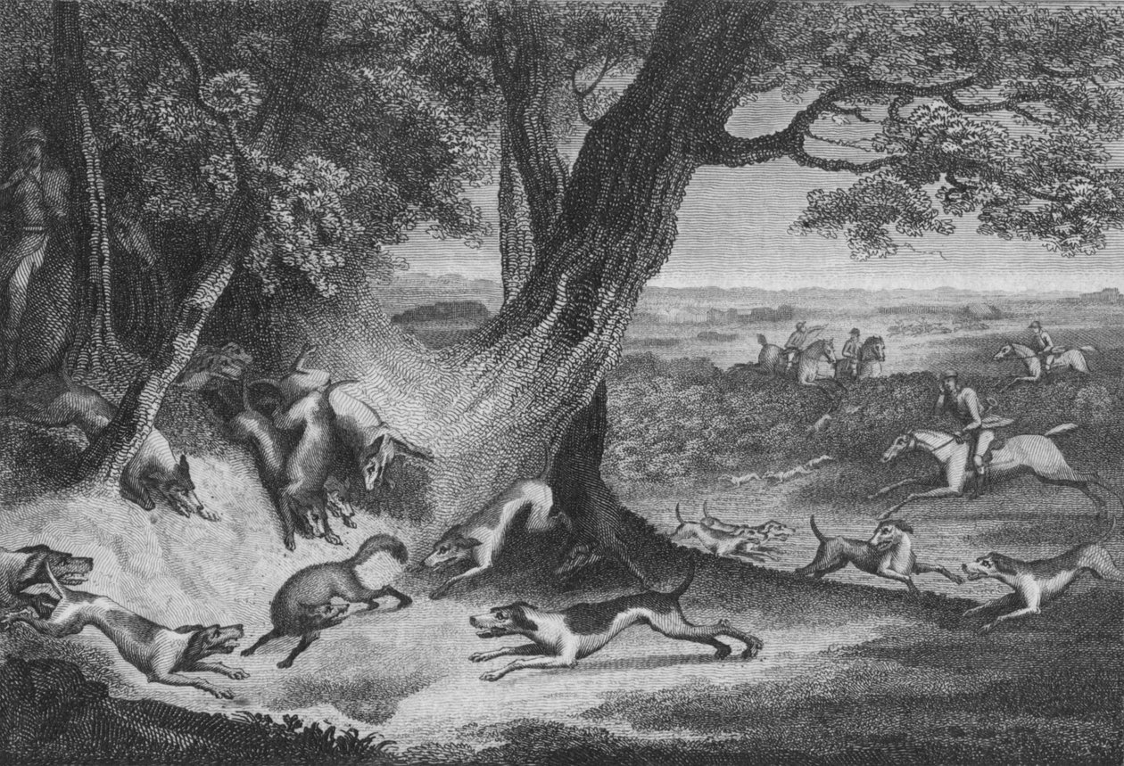 Tod des Fuchses, 1793 von Thomas Cook
