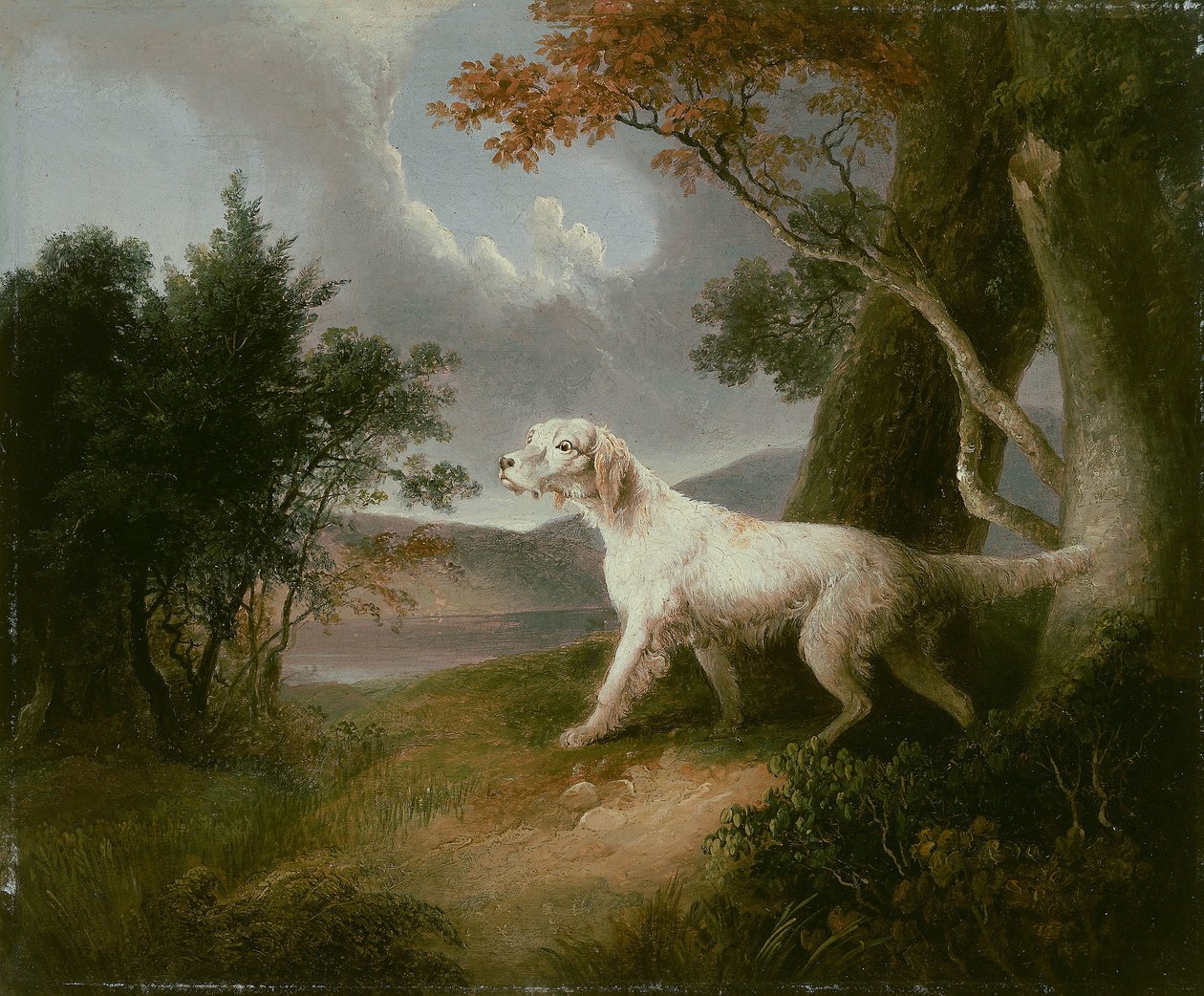 Landschaft mit Hund von Thomas Doughty