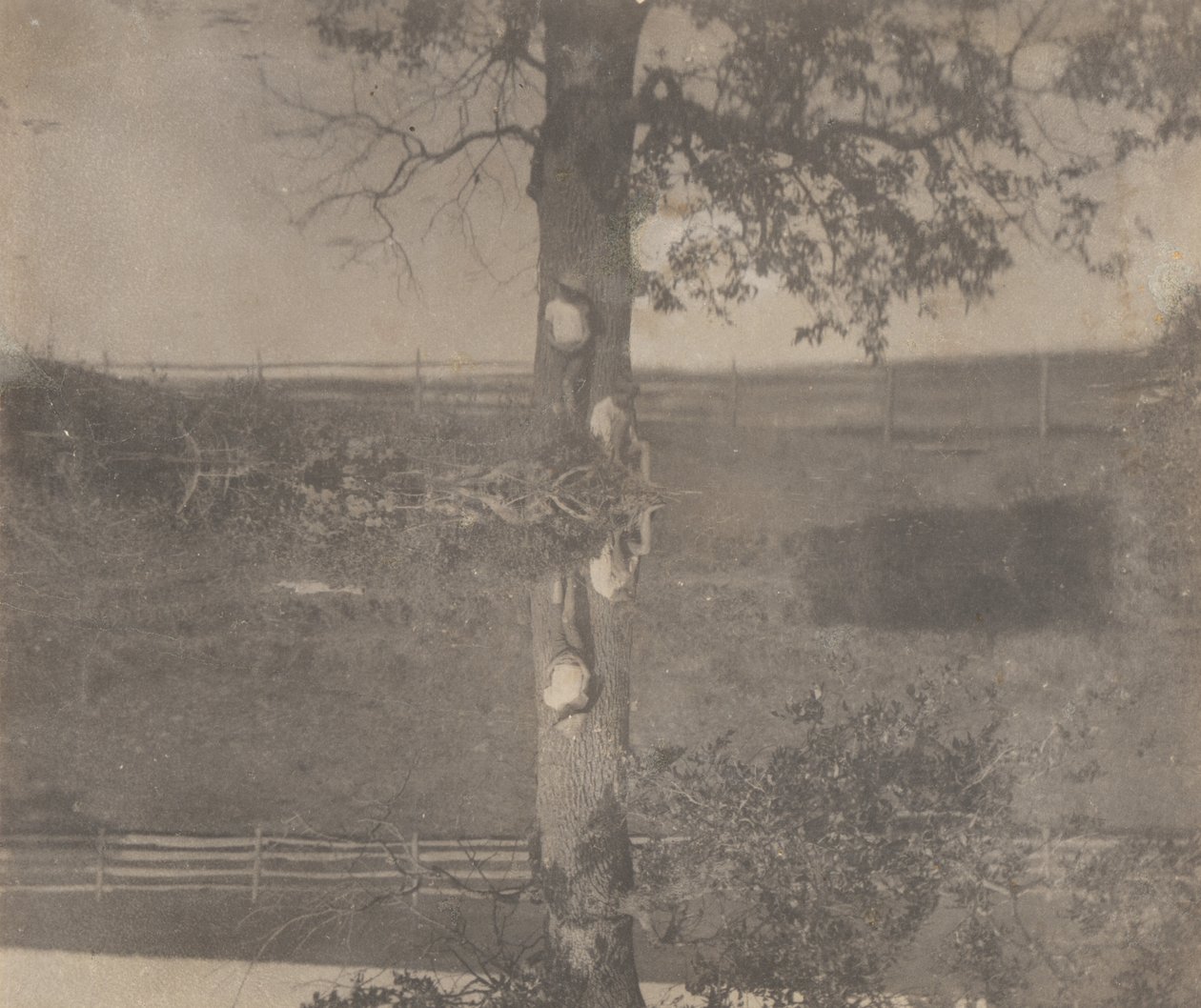 [Crowell-Kinder in Avondale, Pennsylvania] von Thomas Eakins