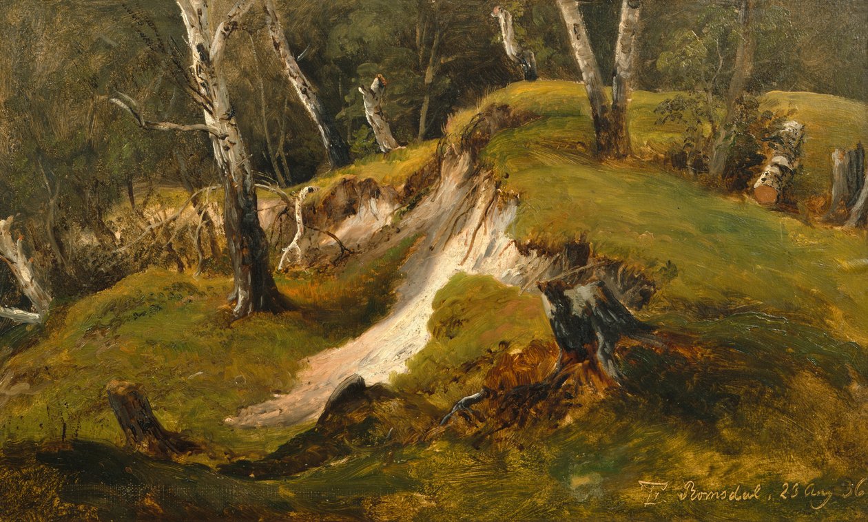 Birkenbestände in Romsdal von Thomas Fearnley